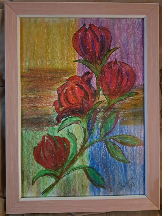 Ruže bez Trnja (Mirjana Stojaković)